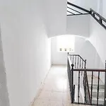Entre El Falla Y La Caleta Lägenhet